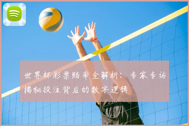 世界杯彩票赔率全解析：专家专访揭秘投注背后的数字逻辑