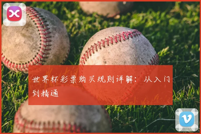 世界杯彩票购买规则详解：从入门到精通