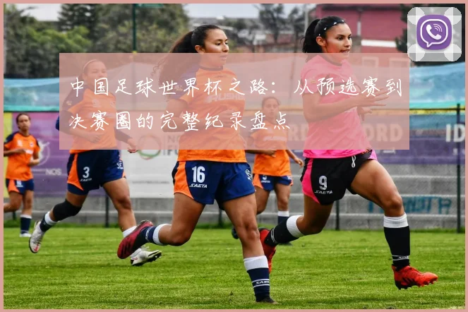 中国足球世界杯之路:从预选赛到决赛圈的完整纪录盘点