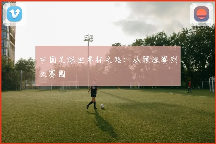 中国足球世界杯之路：从预选赛到决赛圈
