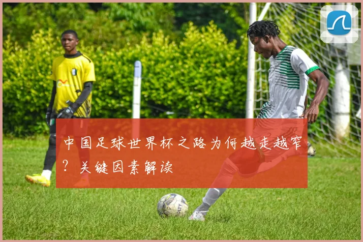 中国足球世界杯之路为何越走越窄?关键因素解读