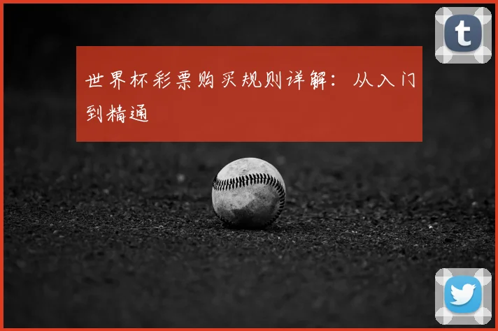 世界杯彩票购买规则详解:从入门到精通