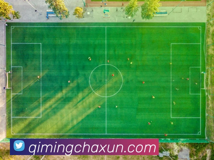 赛事专题整合
